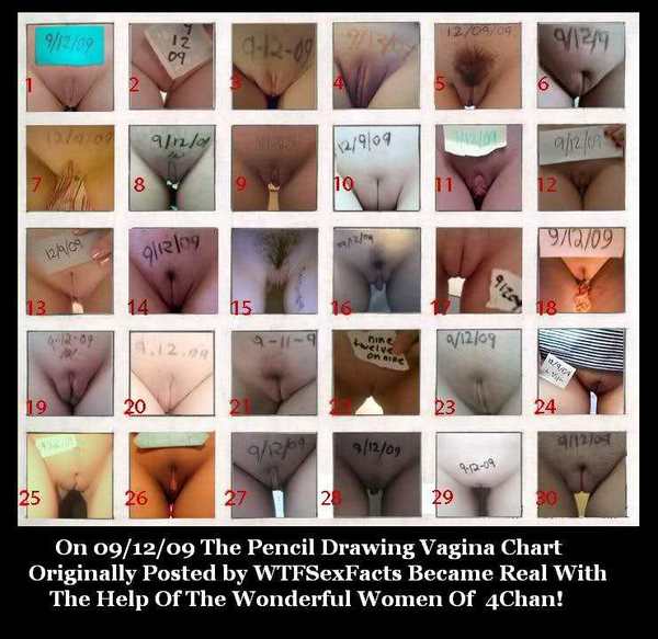 Different Types Of Pussy Lips 76